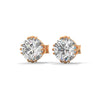 Round cut Lab Grown Diamond 8-Prong Gold Stud Earrings