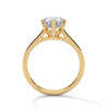 “Nova Ring—round brilliant diamond sparkle, secure six-prong solitaire elegance, and timeless white-gold beauty crafted to symbolize enduring love and radiant sophistication.”