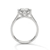 Round Cut Lab Grown Diamond Pave Gold Ring