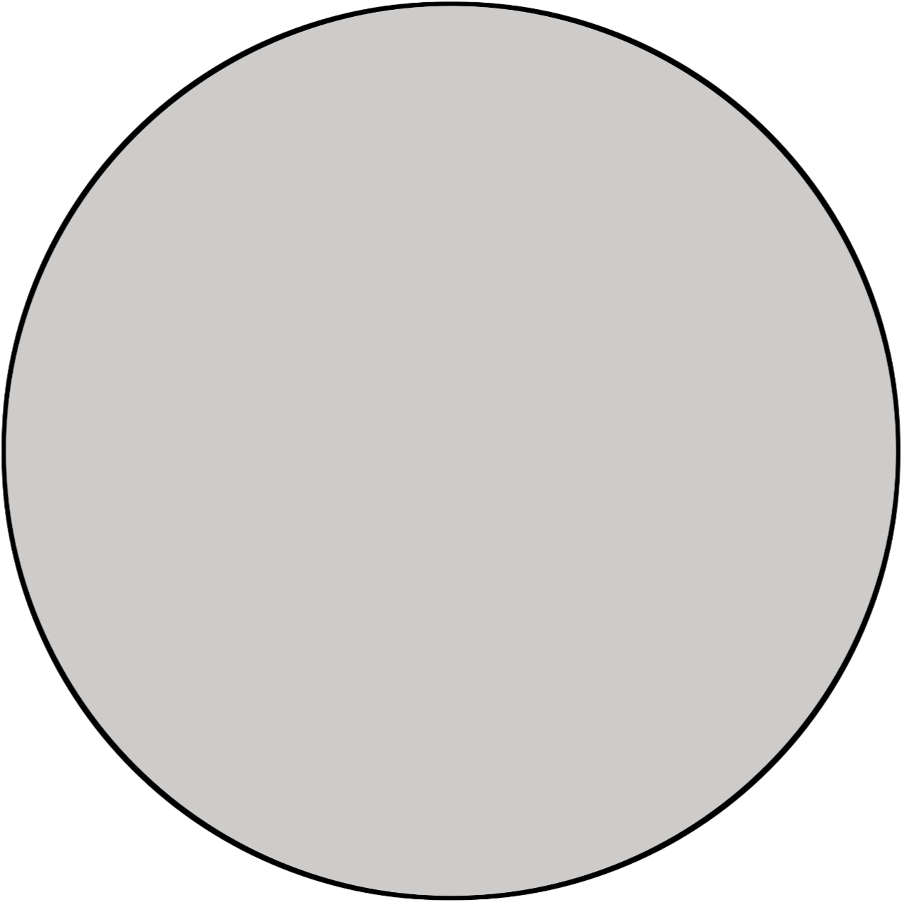White Color