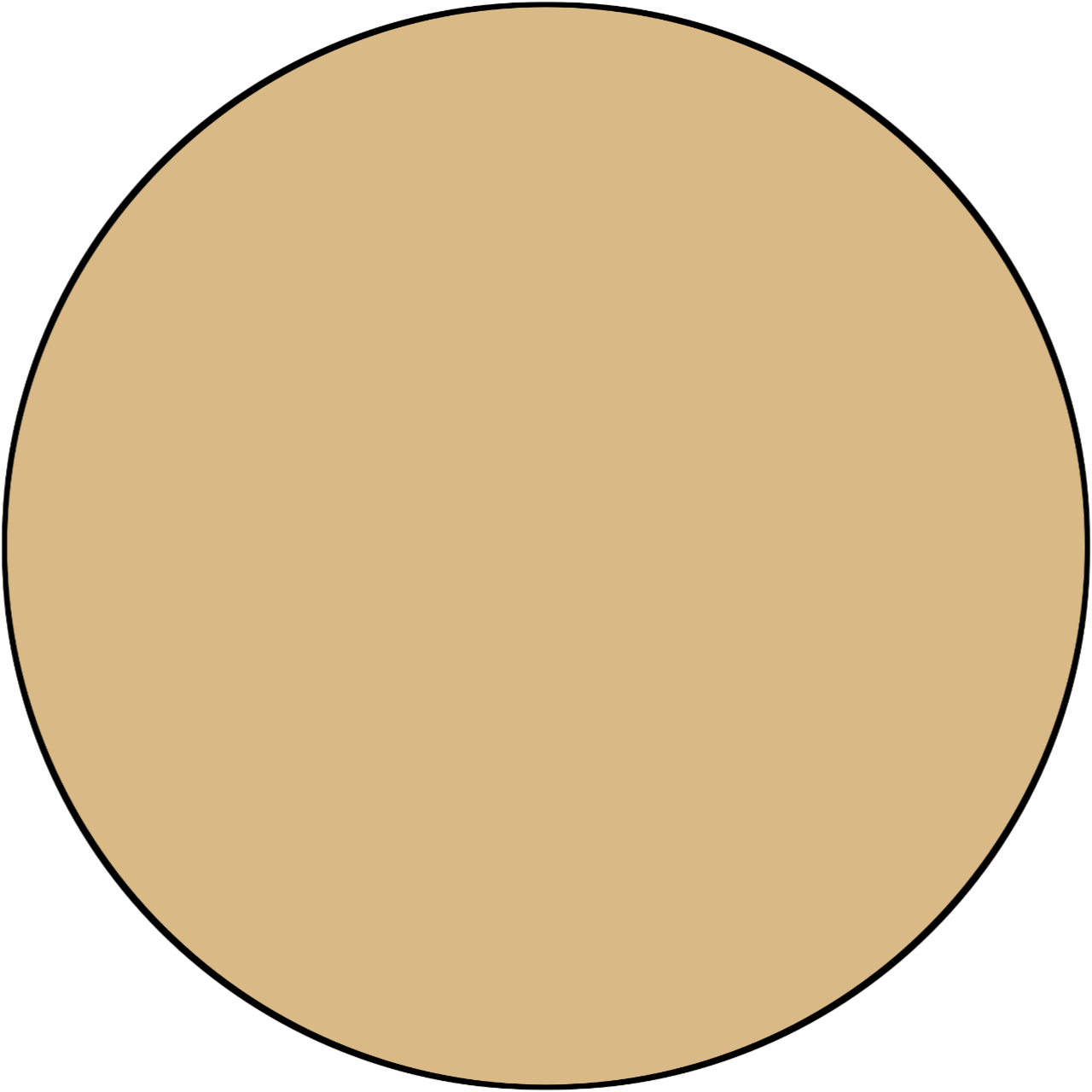 Yellow Color