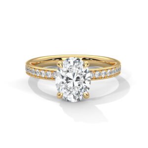 Round Brilliant Diamond Engagement Ring with Hidden Halo & Pavé Band